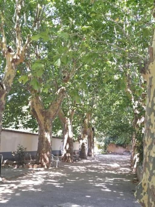 Toulon Est La Valette Studio 35M2 Dominant Parking Proche Merアパートメント エクステリア 写真