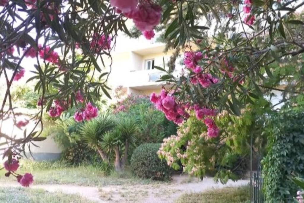 Toulon Est La Valette Studio 35M2 Dominant Parking Proche Merアパートメント エクステリア 写真